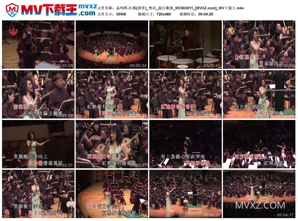 盖鸣晖-红棉(消伴)_粤语_流行歌曲_MC903011